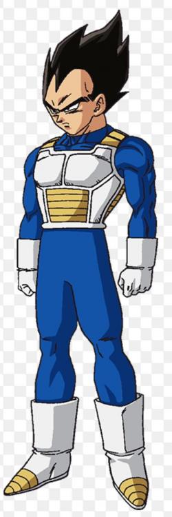 Vegeta.jpg