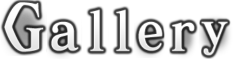 Gallery.png