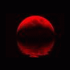 Bloodmoonzero